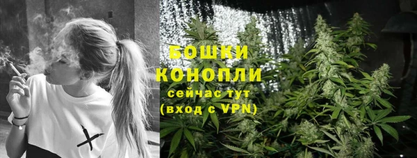 гидропоника Горняк