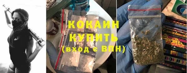 гидропоника Горняк